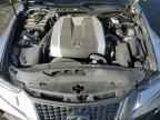 2020 LEXUS IS 350