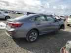 2019 HONDA Insight