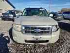2009 FORD ESCAPE