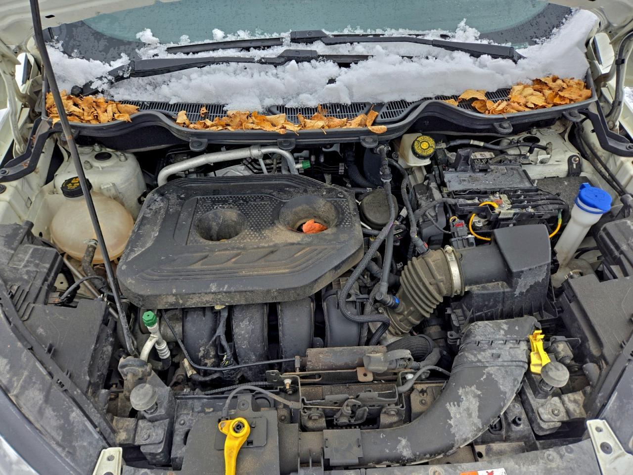 2019 FORD EcoSport