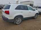 2011 KIA SORENTO