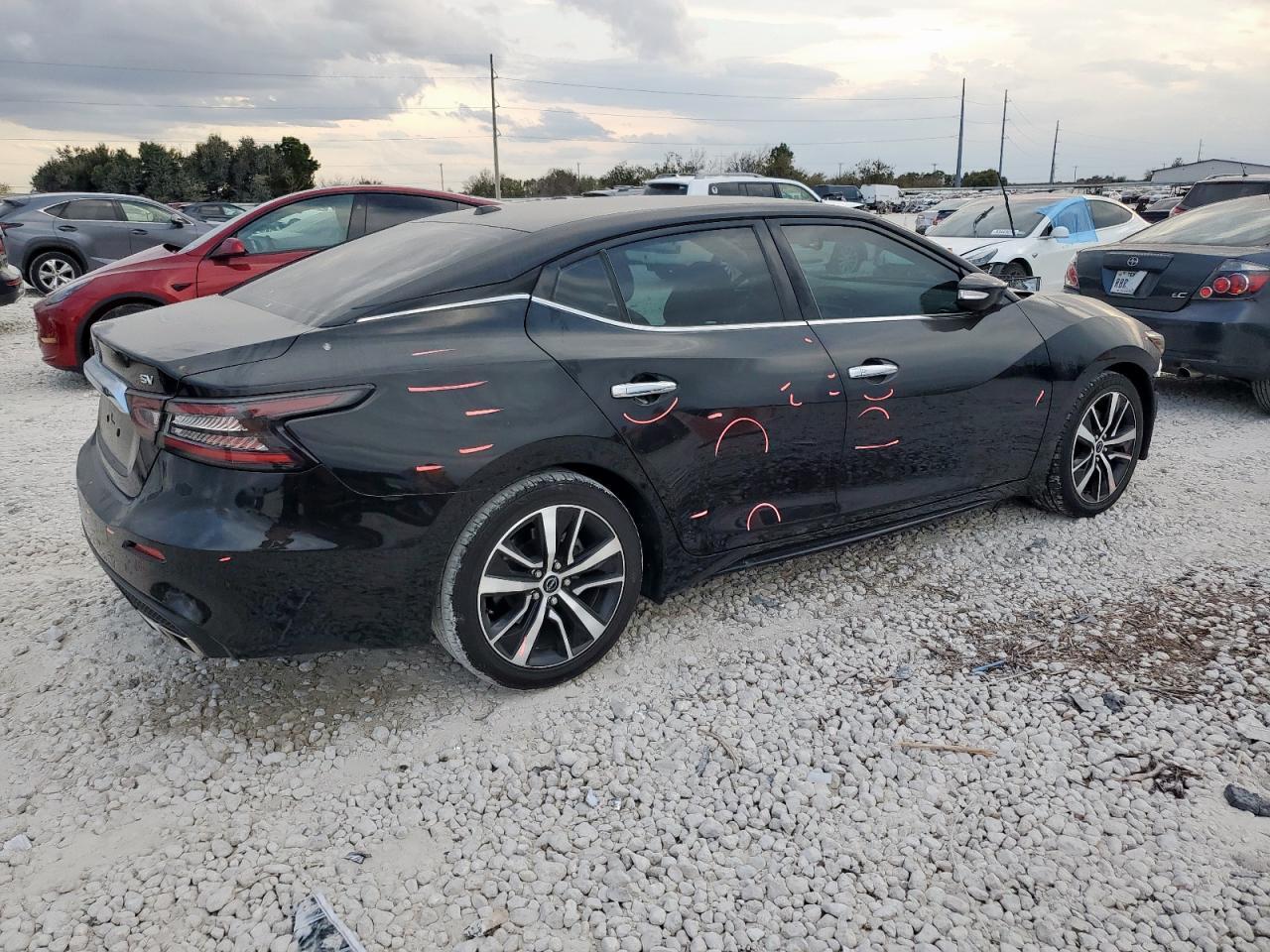 2023 NISSAN Maxima