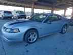 2000 FORD MUSTANG