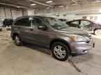 2010 HONDA CR-V