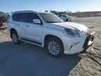 2021 LEXUS GX 460