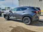 2024 LEXUS NX 250