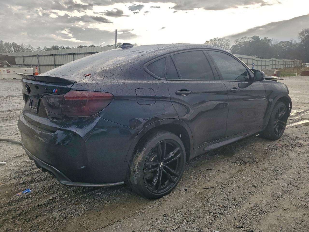 2016 BMW X6
