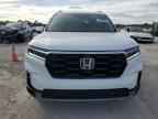 2024 HONDA PILOT