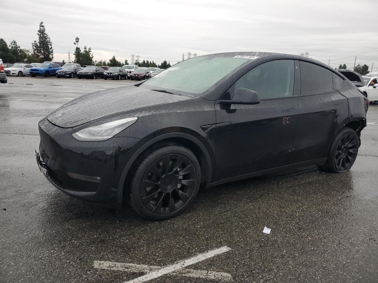 2021 TESLA MODEL Y