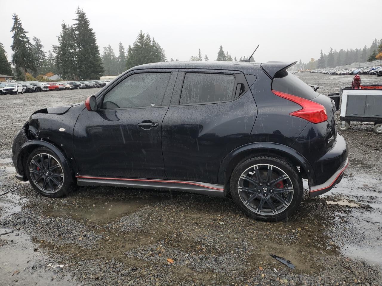 2014 NISSAN Juke