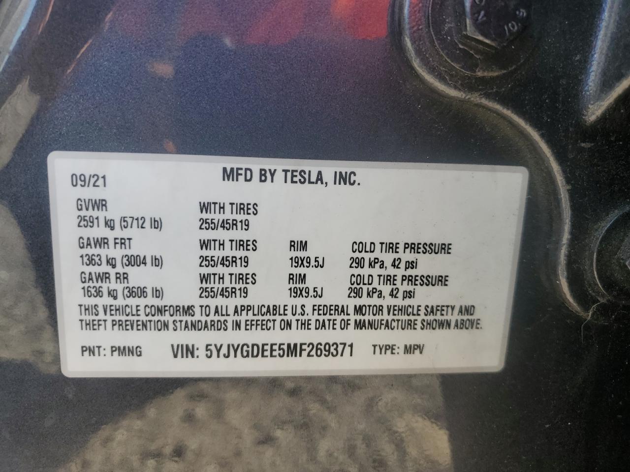 2021 TESLA MODEL Y