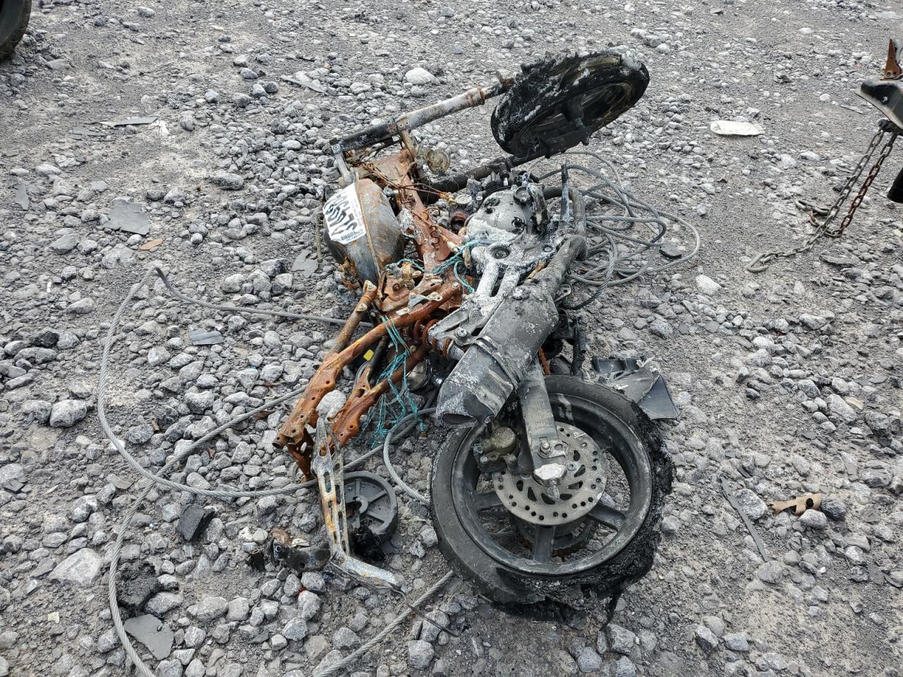 2025 HONDA Grom