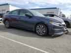 2022 HONDA Insight