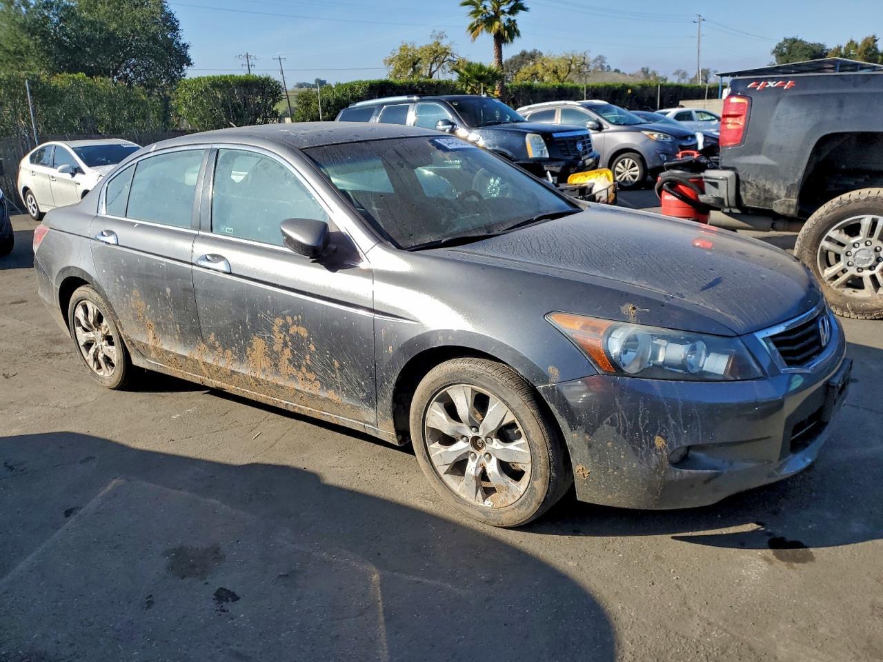 2010 HONDA ACCORD