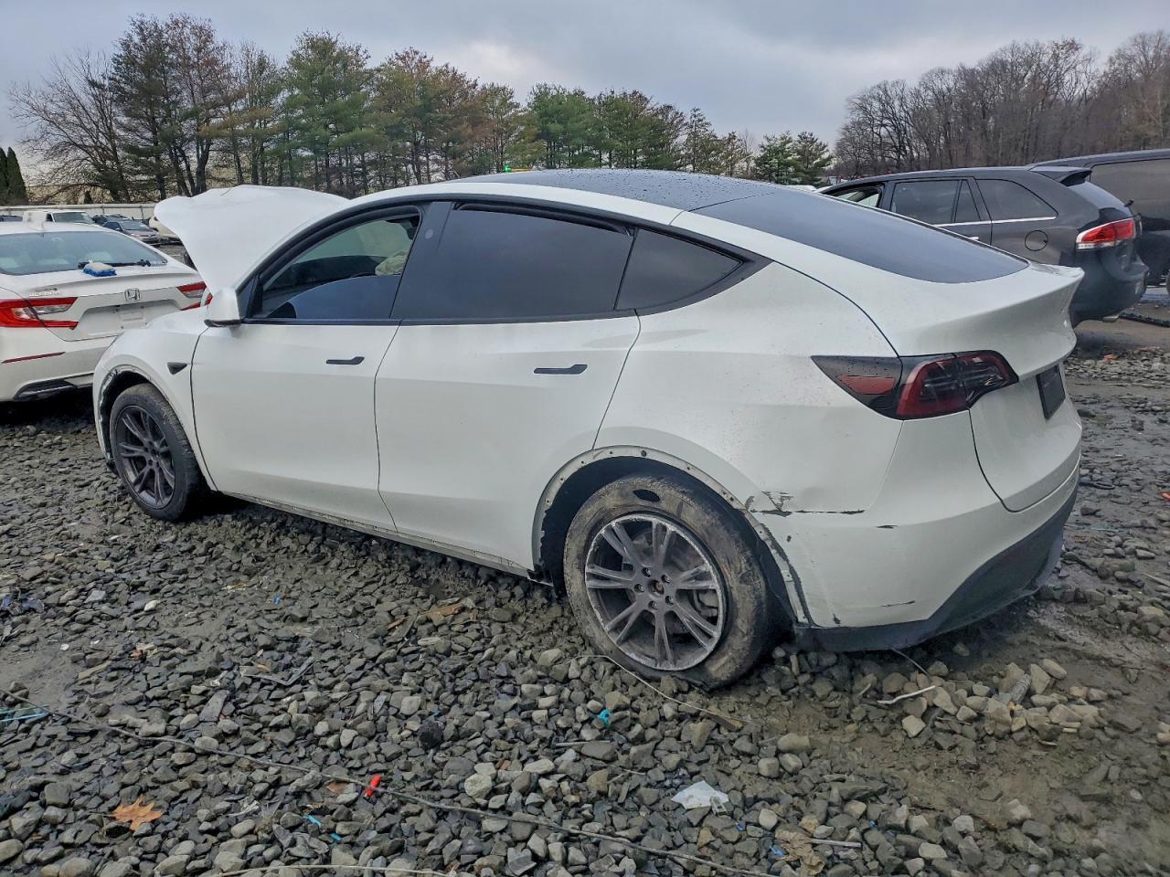 2025 TESLA MODEL Y