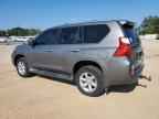 2011 LEXUS GX 460