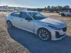 2023 CADILLAC CT5