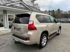 2010 LEXUS GX 460