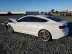 2023 AUDI A5