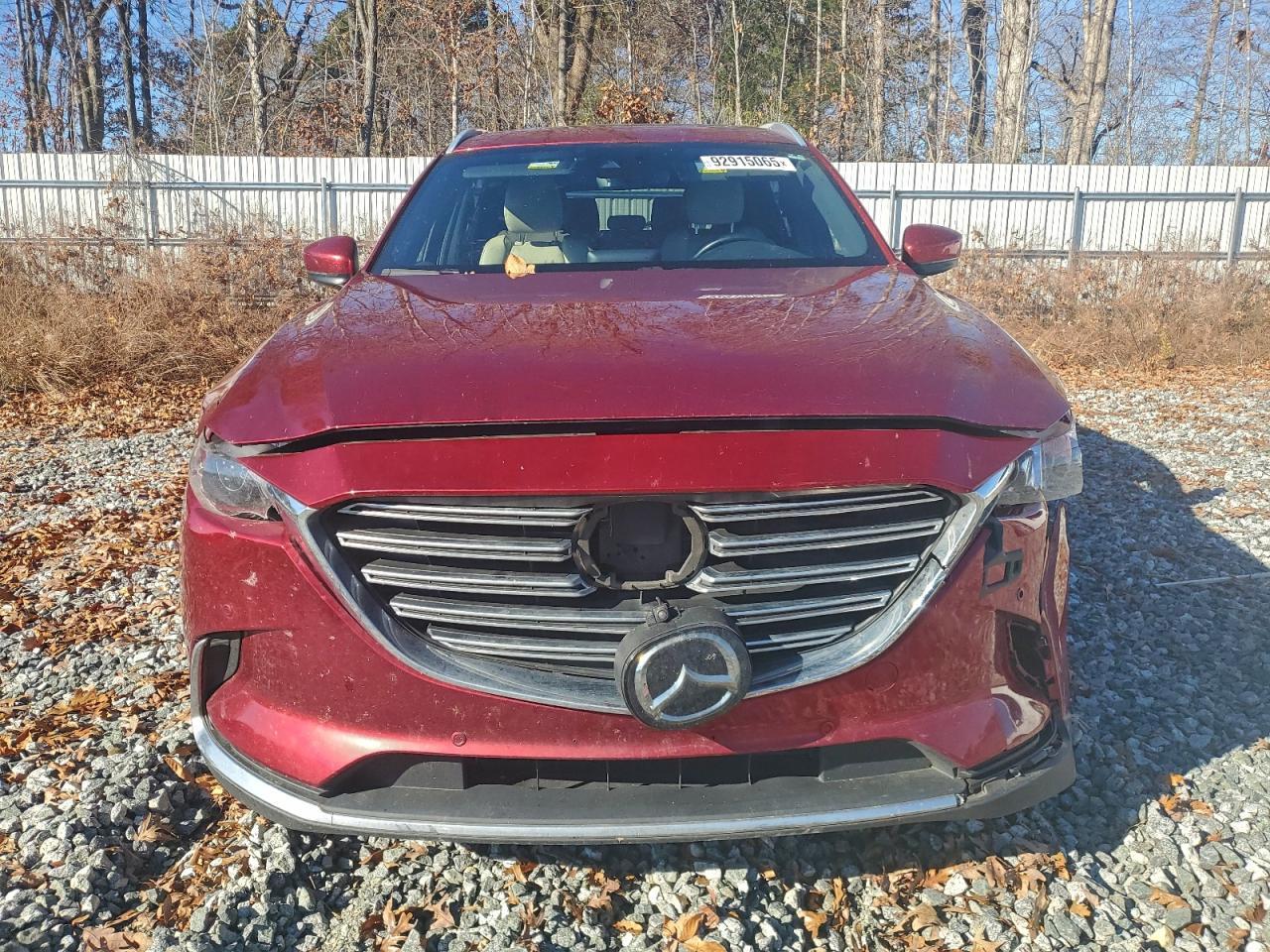 2019 MAZDA CX-9