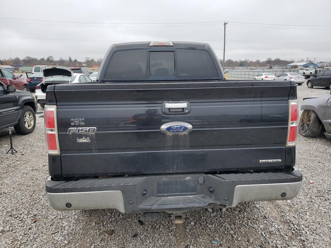 2013 FORD F-150