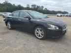 2013 NISSAN Maxima