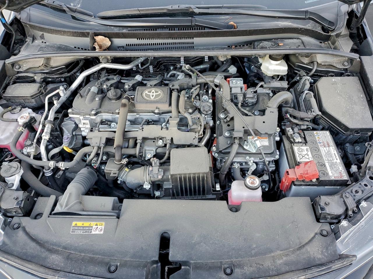 2025 TOYOTA COROLLA