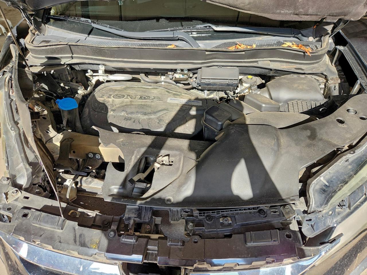2019 HONDA PILOT
