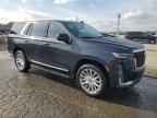 2023 CADILLAC ESCALADE