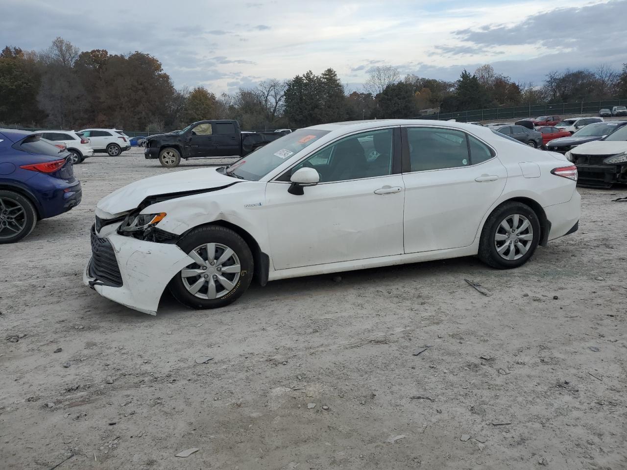 2019 TOYOTA CAMRY