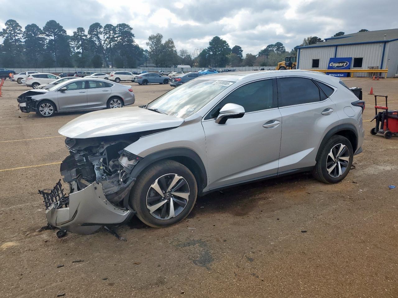 2019 LEXUS NX 300