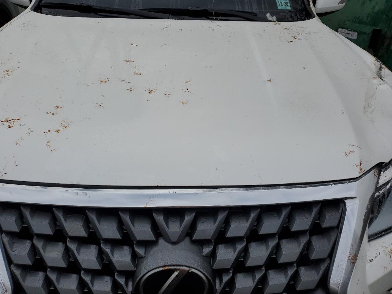 2023 LEXUS GX 460