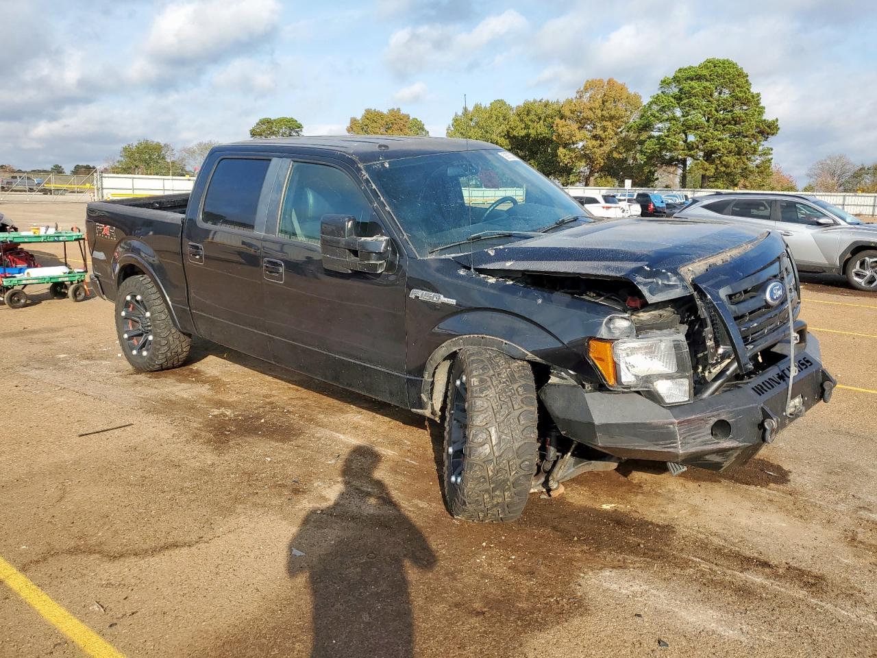 2010 FORD F-150