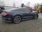 2023 FORD MUSTANG