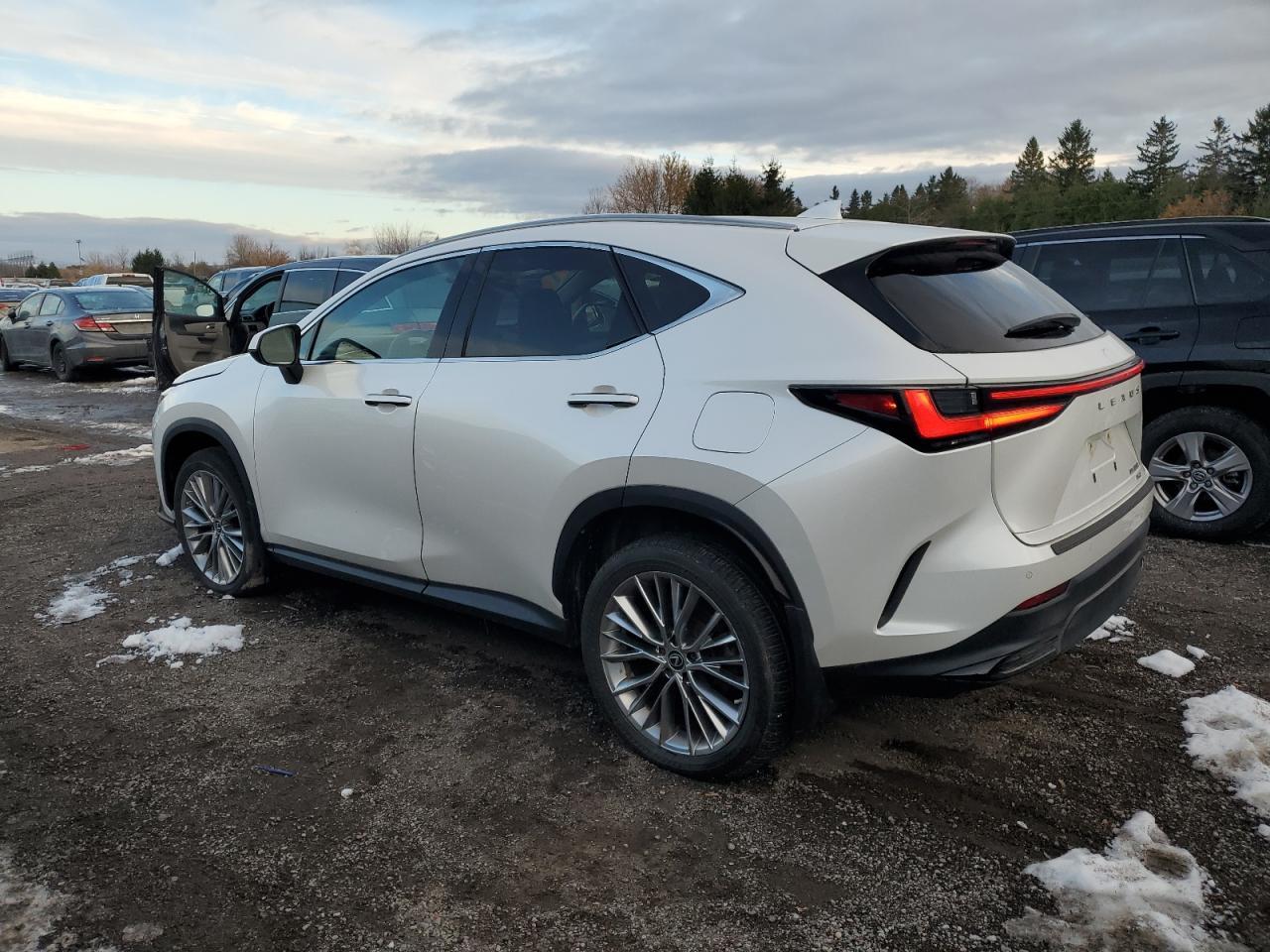 2022 LEXUS NX 350
