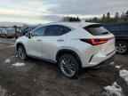 2022 LEXUS NX 350