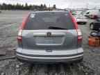 2010 HONDA CR-V