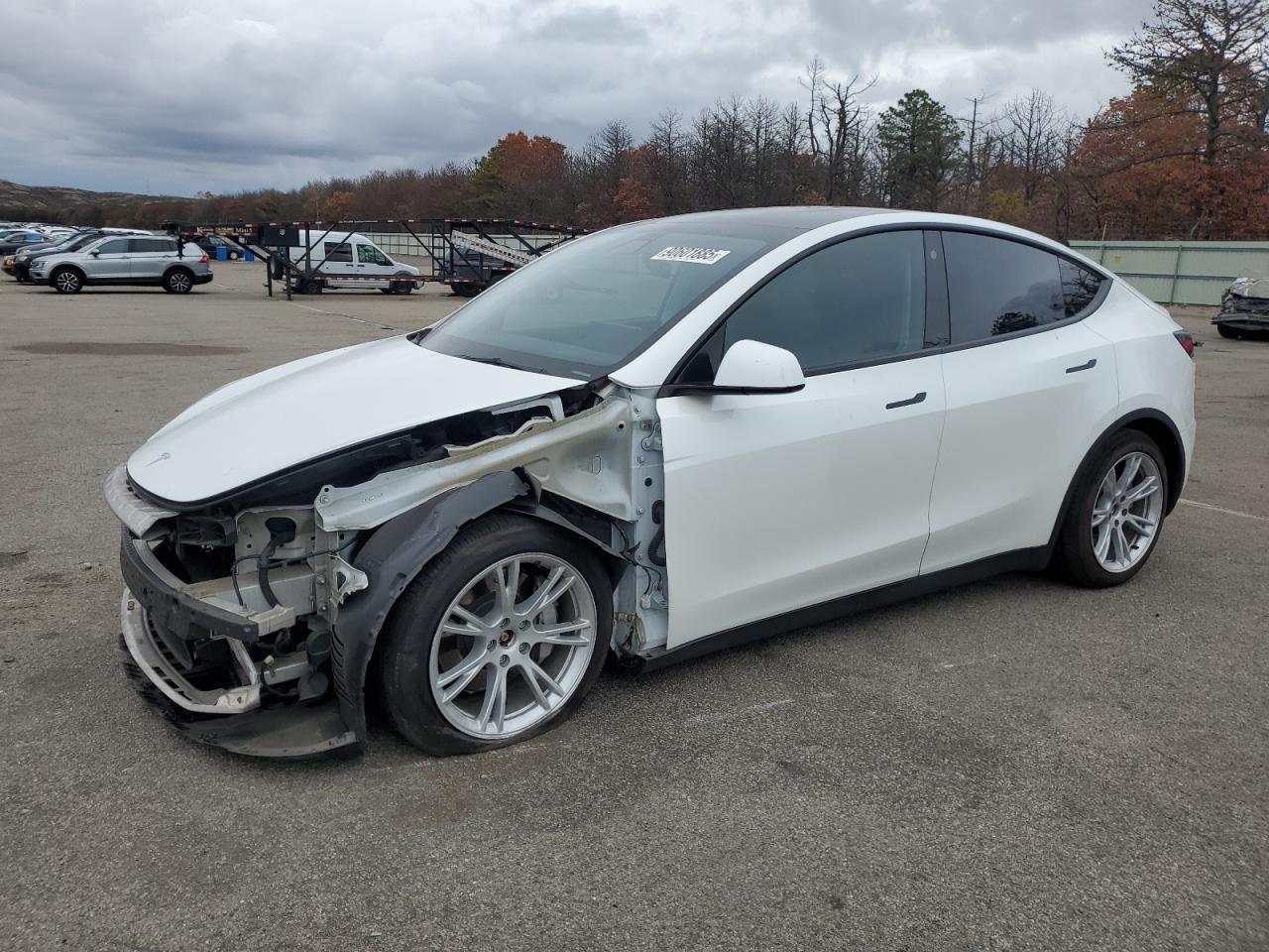 2021 TESLA MODEL Y