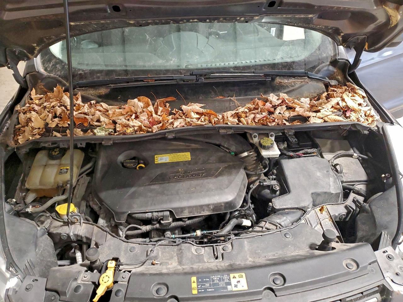 2013 FORD ESCAPE