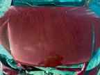 2009 CHEVROLET COBALT