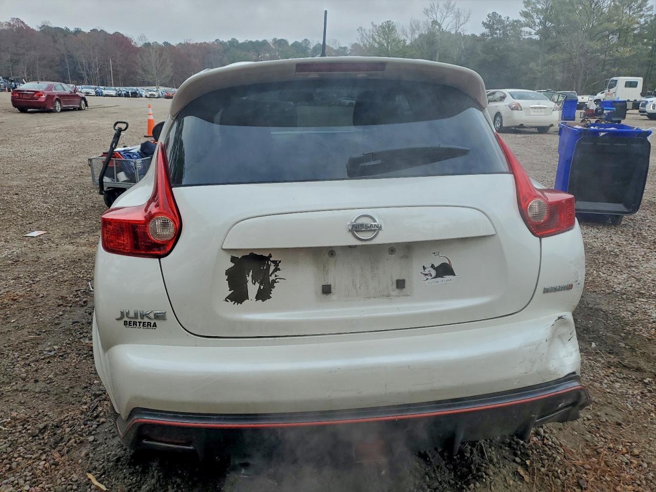 2013 NISSAN Juke