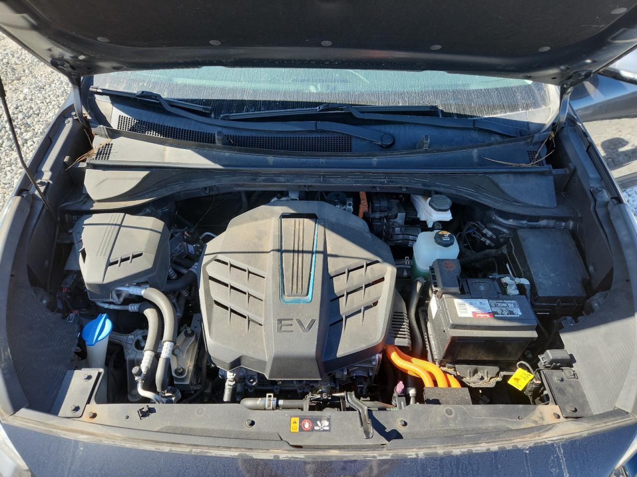 2019 KIA Niro