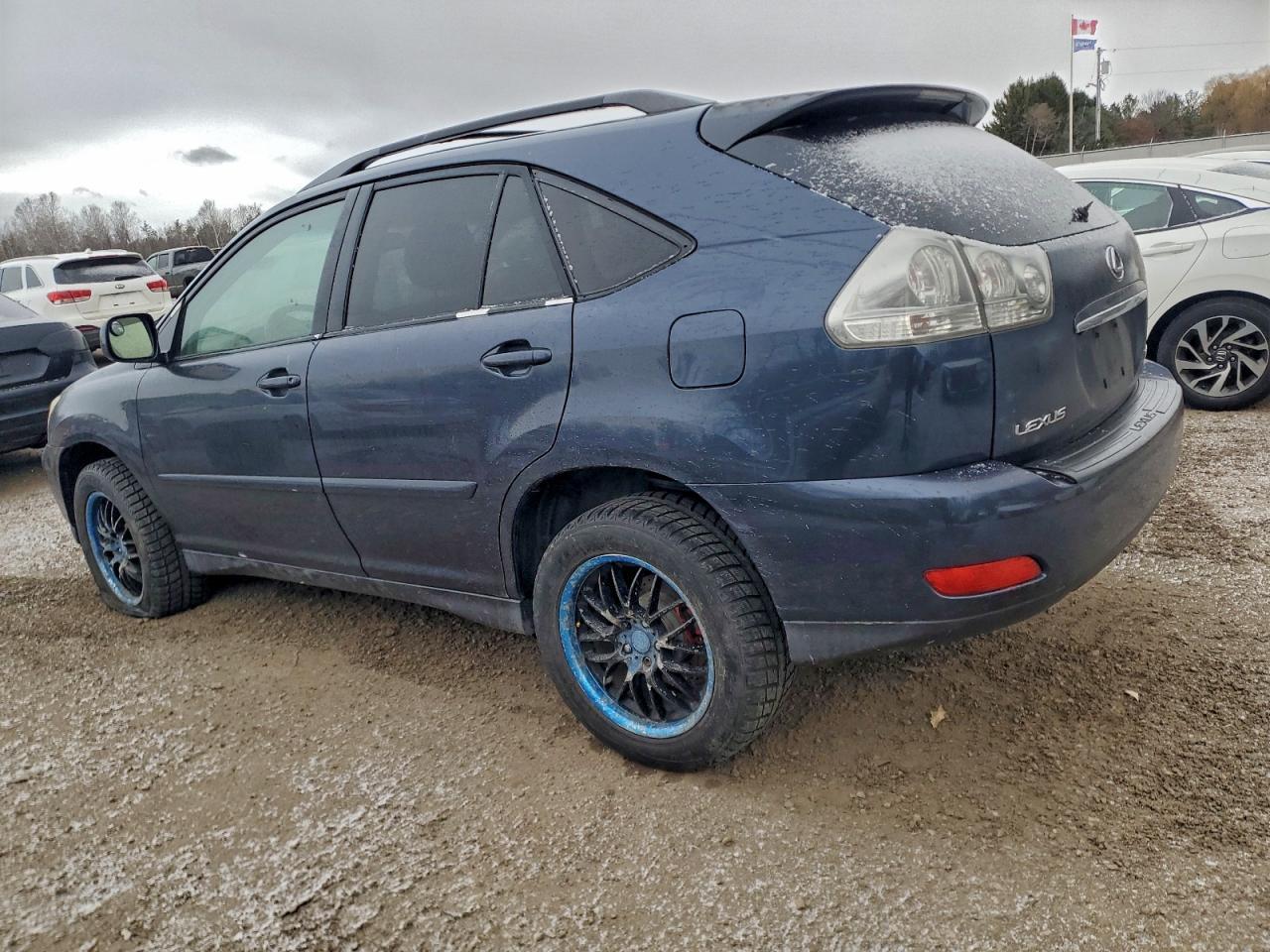 2004 LEXUS Rx 330