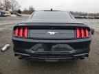 2023 FORD MUSTANG