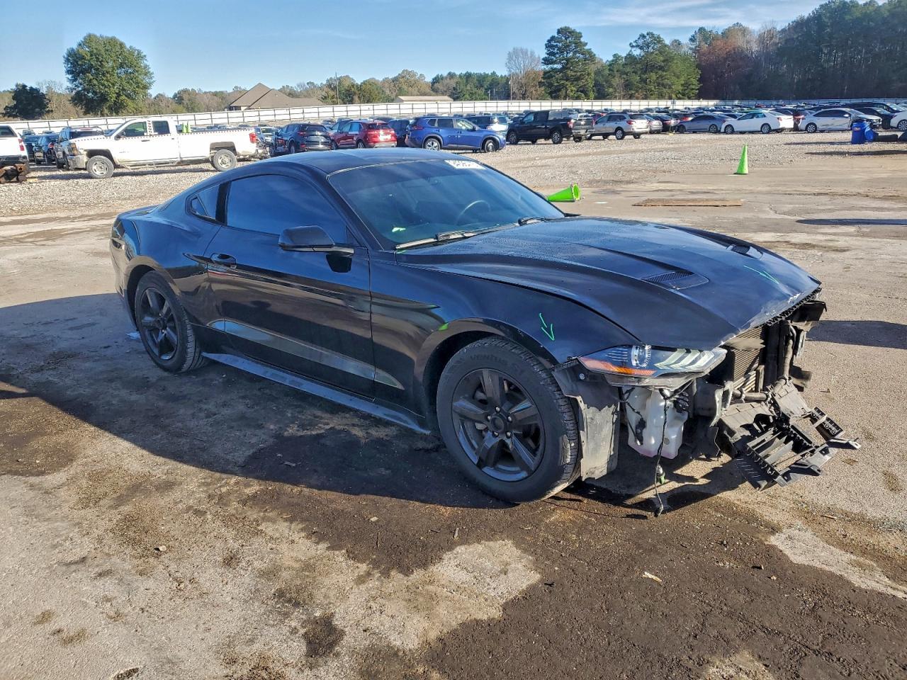 2019 FORD MUSTANG