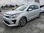 2023 KIA RIO