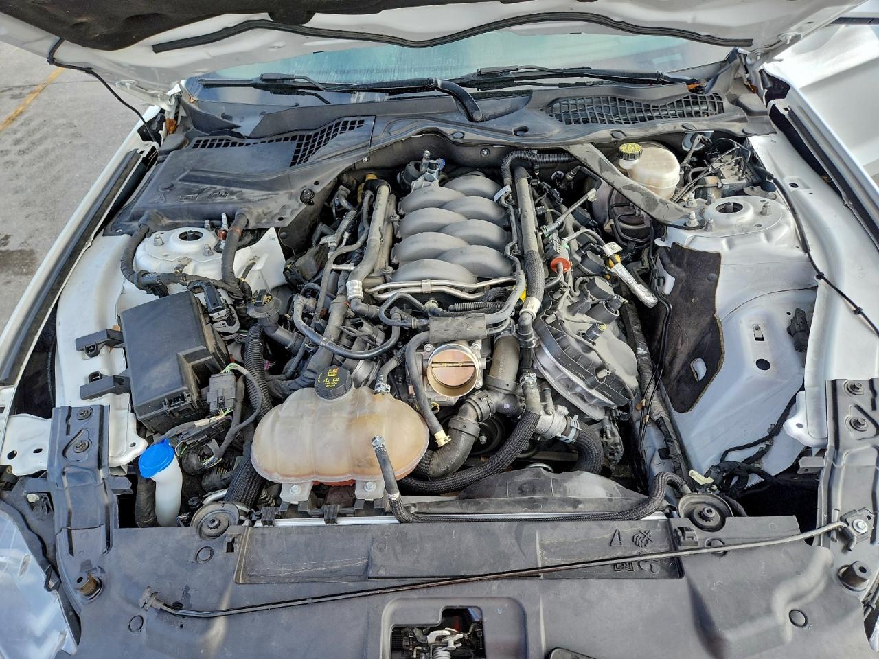 2019 FORD MUSTANG