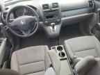 2010 HONDA CR-V