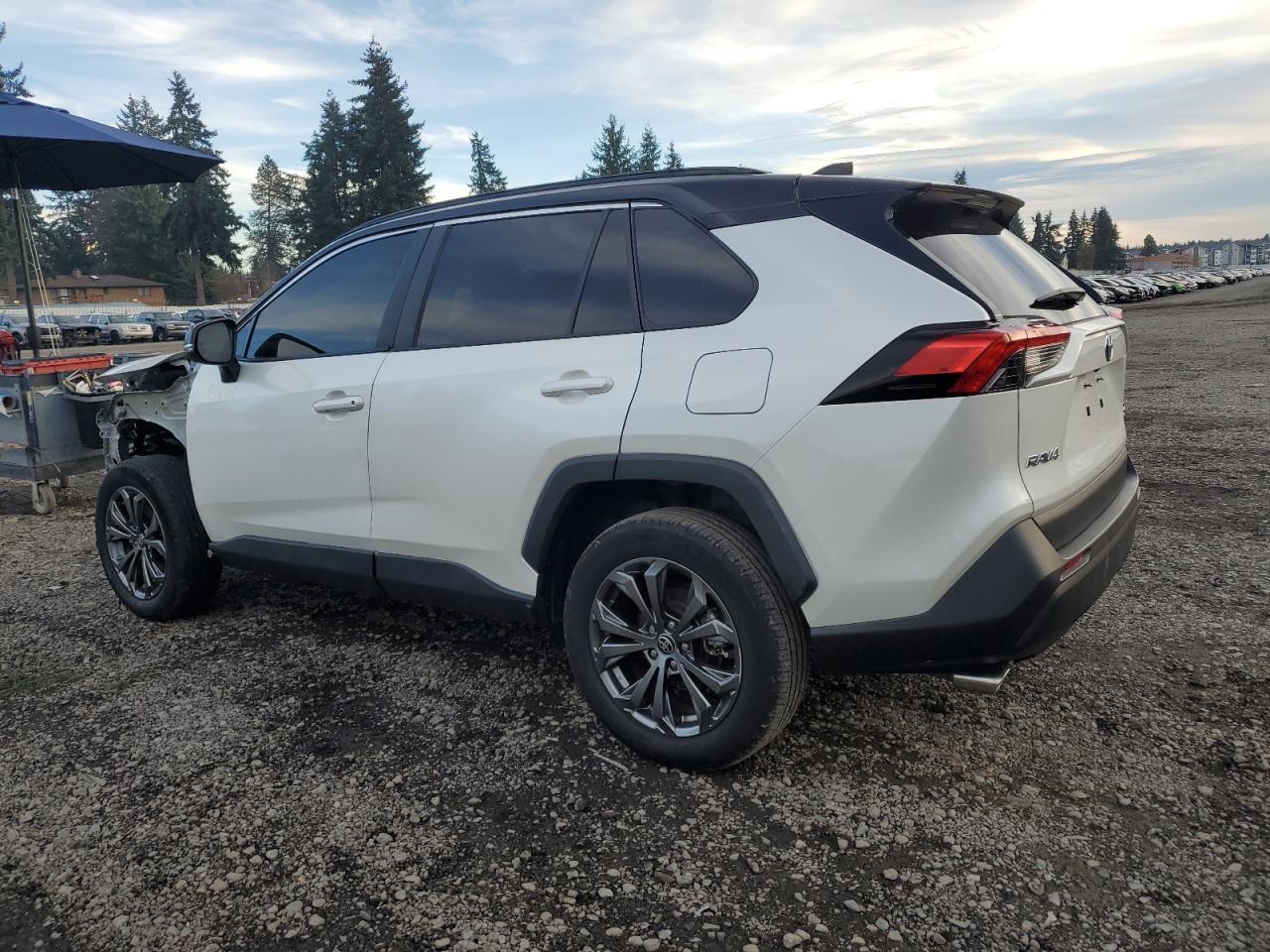 2022 TOYOTA RAV4