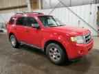 2009 FORD ESCAPE